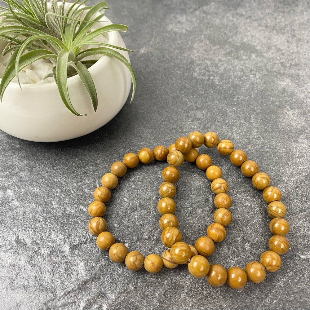 Petrified wood bracelet